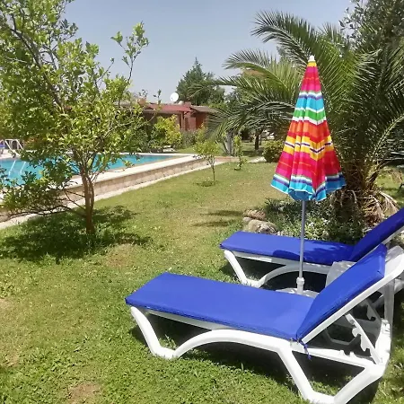 Green House Bogazici-dodo House מלון