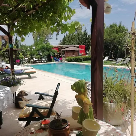 מלון Green House Bogazici-dodo House Bogazici