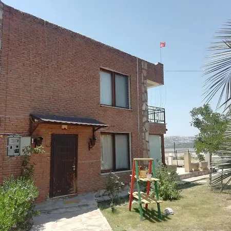 Green House Bogazici-dodo House