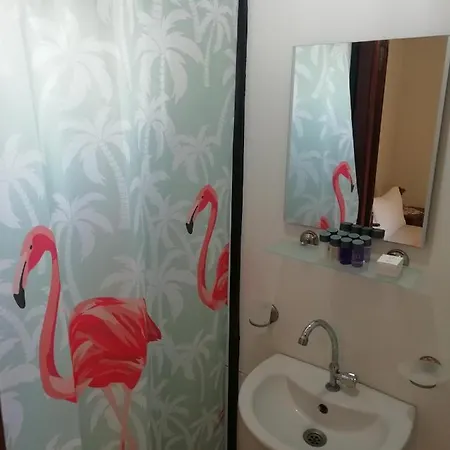 Hotel Green House Bogazici-dodo House