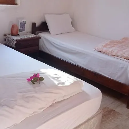 Green House Bogazici-dodo House * Bogazici