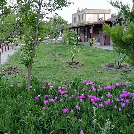 Ξενοδοχείο Green House Bogazici-dodo House *