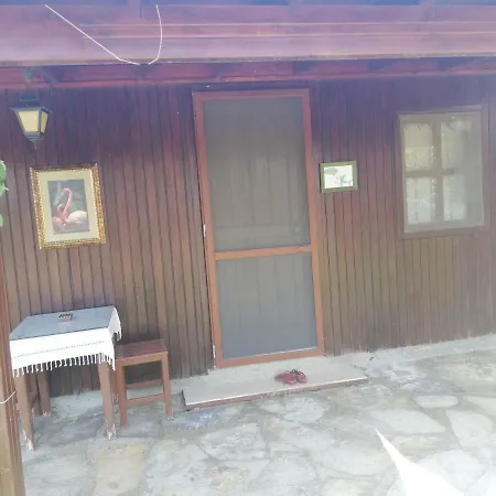 Green House Bogazici-dodo House מלון Bogazici