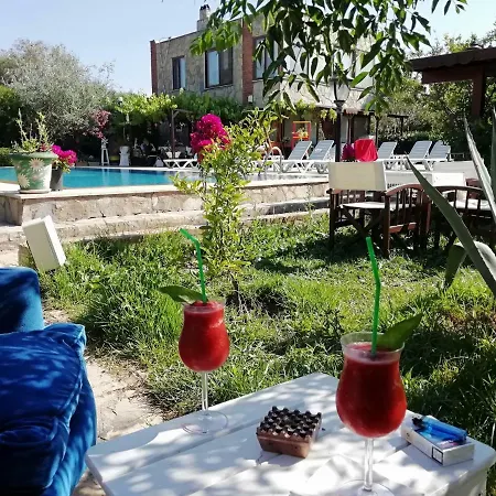 מלון Green House Bogazici-dodo House