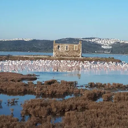 Green House Bogazici-dodo House * Bogazici