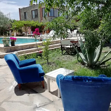 Green House Bogazici-dodo House Hotel