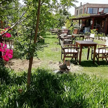 Green House Bogazici-dodo House Hotel Bogazici