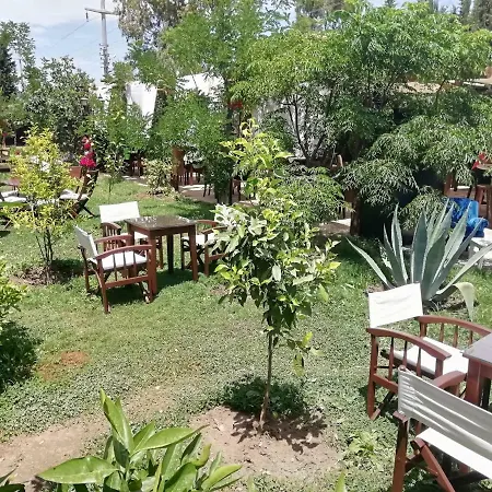 Green House Bogazici-dodo House מלון