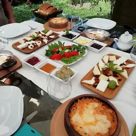 Green House Bogazici-dodo House * Bogazici