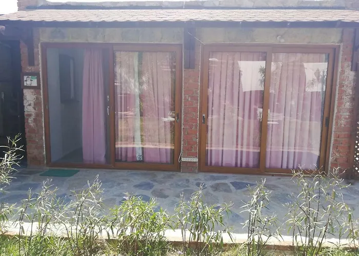 Green House Bogazici-dodo House Bogazici