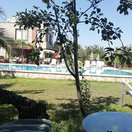 Green House Bogazici-dodo House