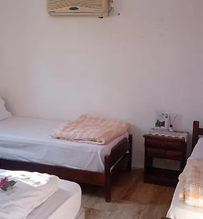 Green House Boğaziçi-dodo House * Bogazici