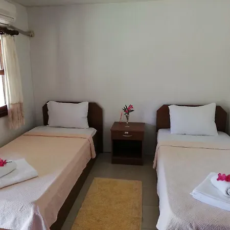 Green House Boğaziçi-dodo House Bogazici