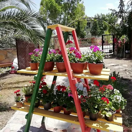 Green House Bogazici-dodo House Ξενοδοχείο Bogazici