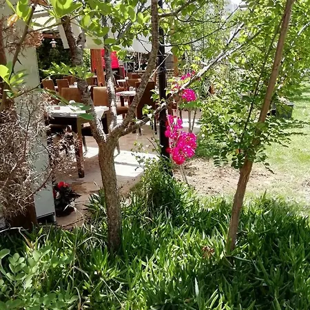 Green House Boğaziçi-dodo House * Bogazici