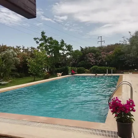 Green House Bogazici-dodo House Hotel *