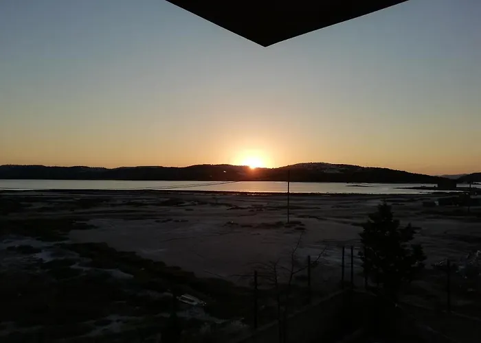 Green House Bogazici-dodo House Богазычи