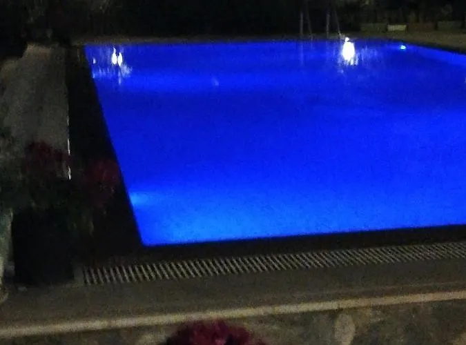 Green House Bogazici-dodo House *