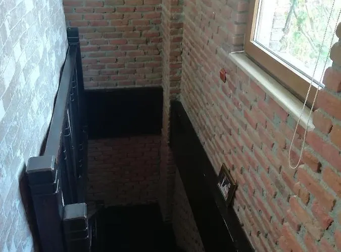 Green House Bogazici-dodo House Богазычи