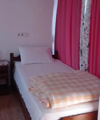 Green House Bogazici-dodo House Богазычи