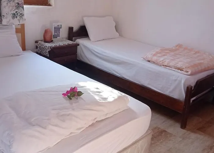 Green House Bogazici-dodo House * Богазычи