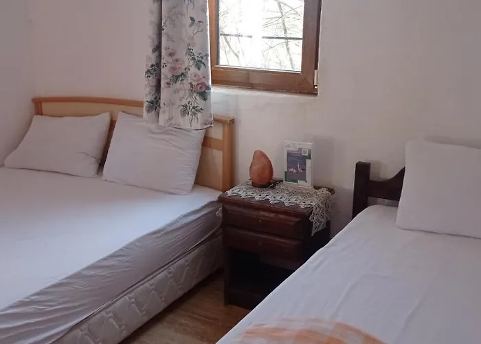 Отель Green House Bogazici-dodo House Богазычи