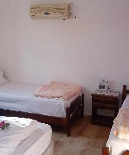 Green House Bogazici-dodo House * Богазычи