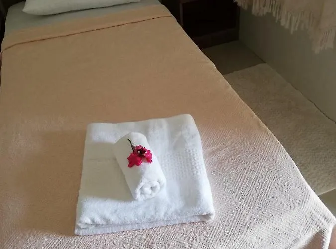 Green House Bogazici-dodo House *