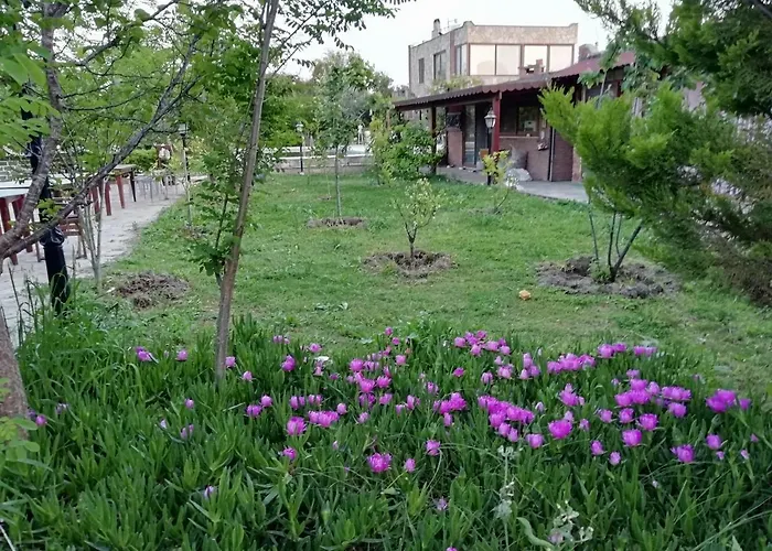 Отель Green House Bogazici-dodo House *