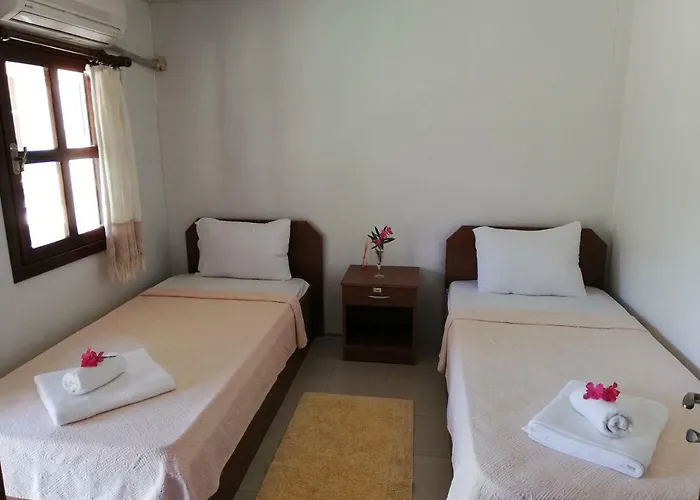 Green House Bogazici-dodo House Богазычи