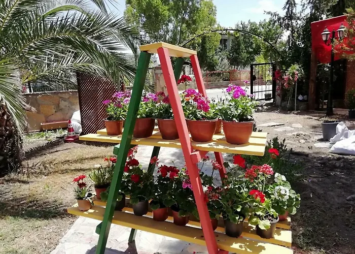 Green House Bogazici-dodo House Отель Богазычи