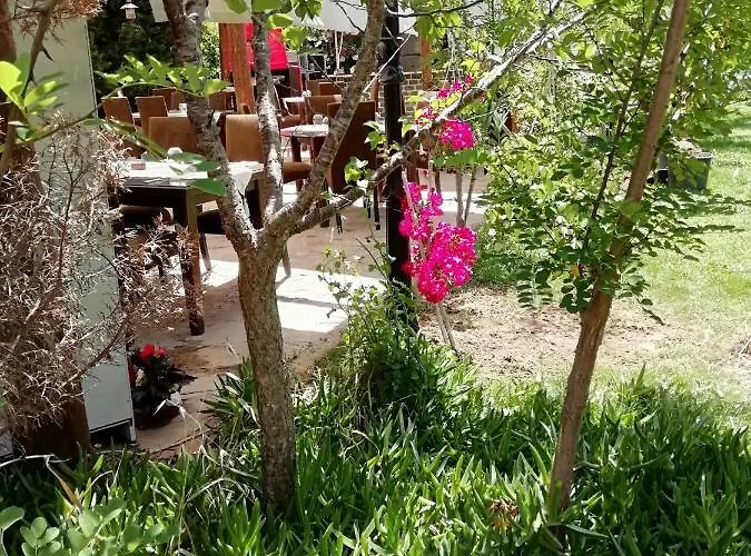 Green House Bogazici-dodo House * Богазычи